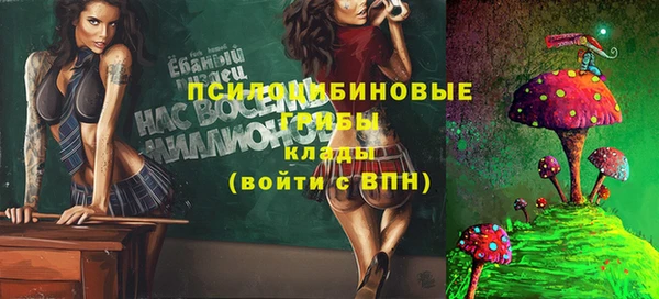 apvp Куйбышев