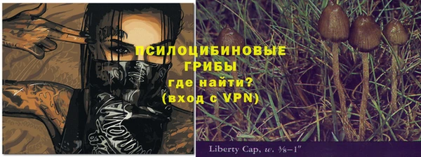 apvp Куйбышев