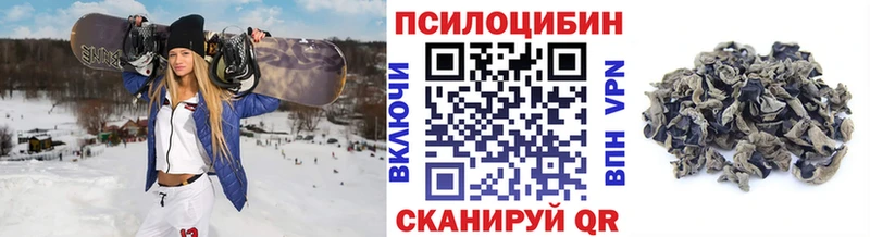 Купить  Нижний Новгород  Псилоцибиновые грибы Cubensis 